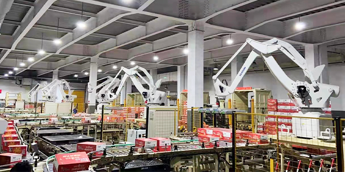 成品面箱自動化輸送碼垛系統